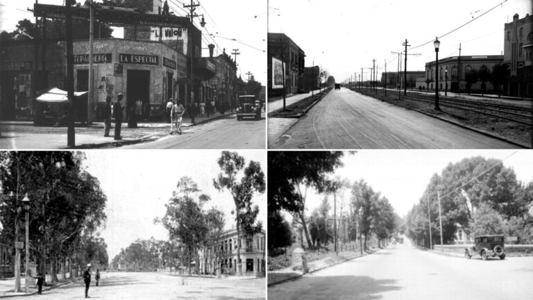 Qué nombre recibe el elemento que divide una avenida en México 18 division de avenida en mexico
