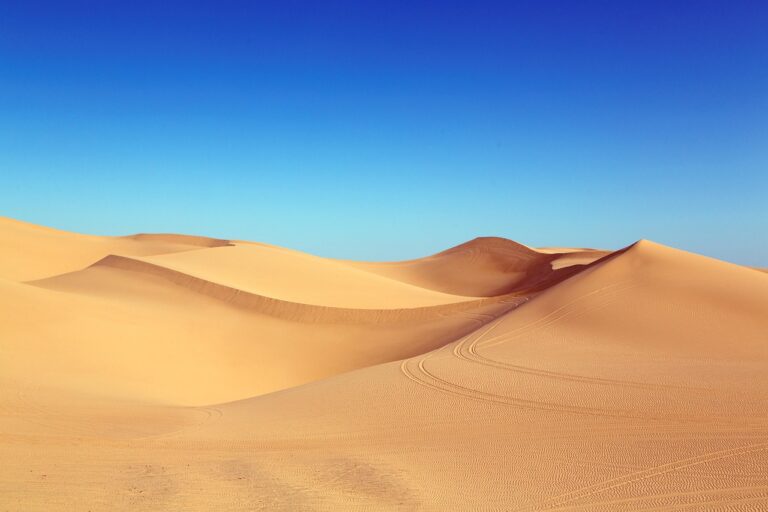 dunas de arena en un paisaje desertico