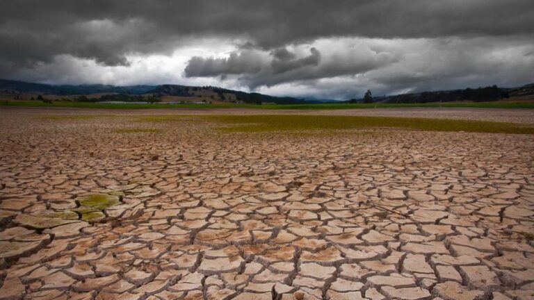 efectos del calentamiento global en la tierra