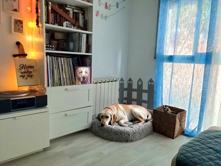 espacio acogedor para perros en casa