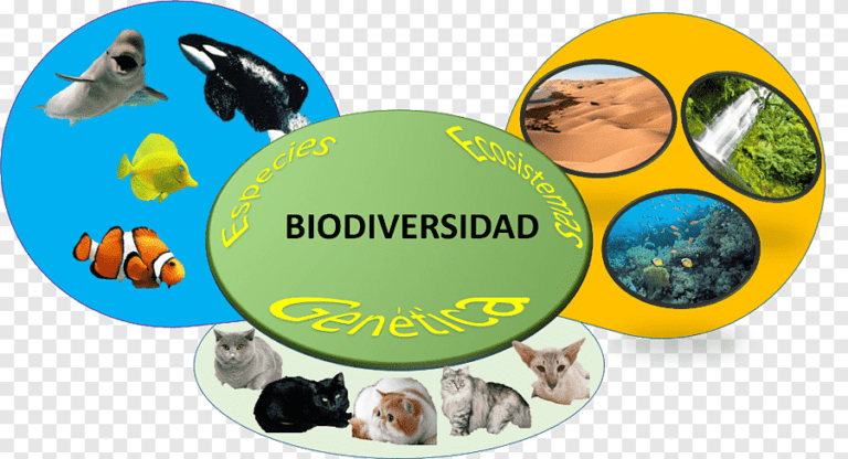 especies en evolucion en un ecosistema diverso