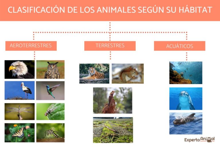 especies en sus habitats naturales diversos