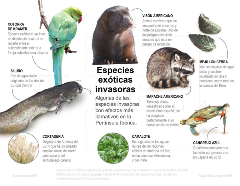 especies invasoras en un ecosistema natural