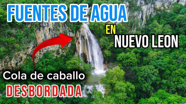 Por qué hay cortes de agua en Nuevo León y cuándo terminarán 10 fuentes de agua en nuevo leon