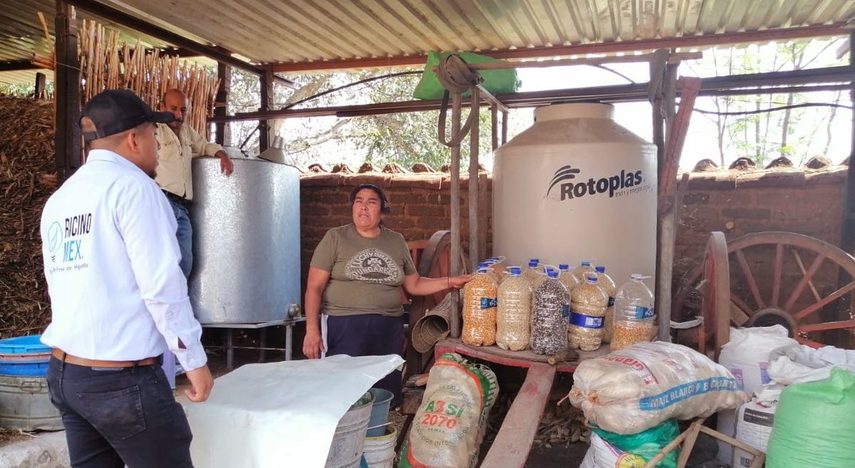 Cuánto cuesta actualmente el kilo de plástico PET en México