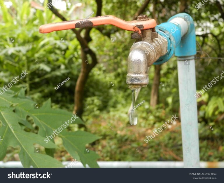 grifo goteando sobre un fondo natural