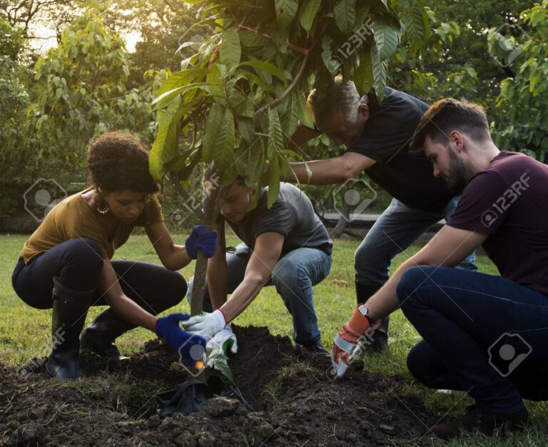 grupo de personas plantando arboles juntos 3