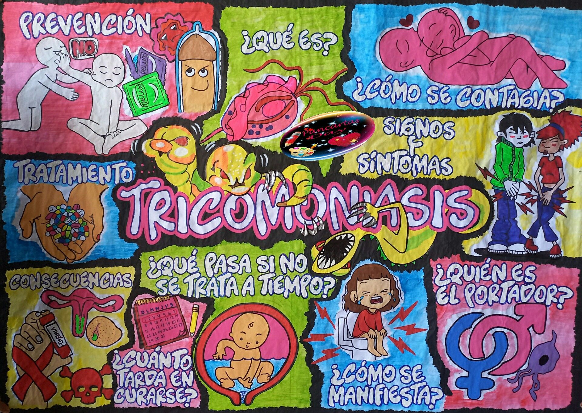 Qué partes componen el cuerpo de los insectos y cómo se explican a los