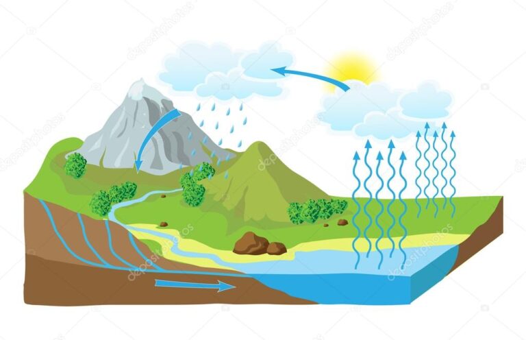 ilustracion colorida del ciclo del agua