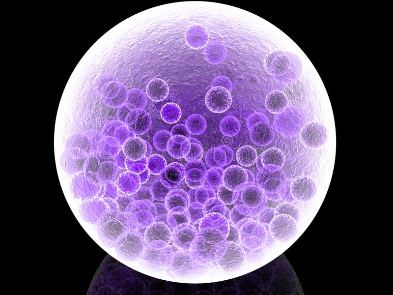 Qué aportes hizo Ernst Haeckel a la teoría celular en la biología 4 Qué aportes hizo Ernst Haeckel a la teoría celular en la biología