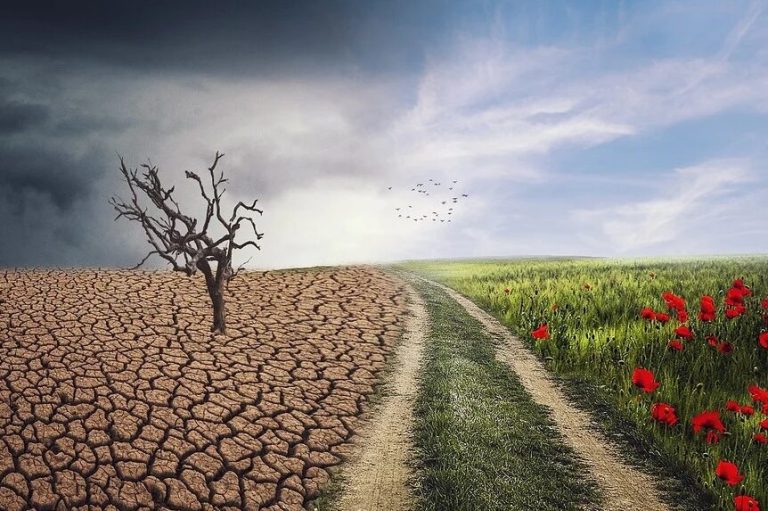 impacto humano en la biodiversidad natural