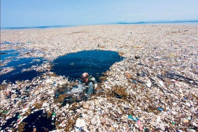 isla de plasticos flotante en el oceano