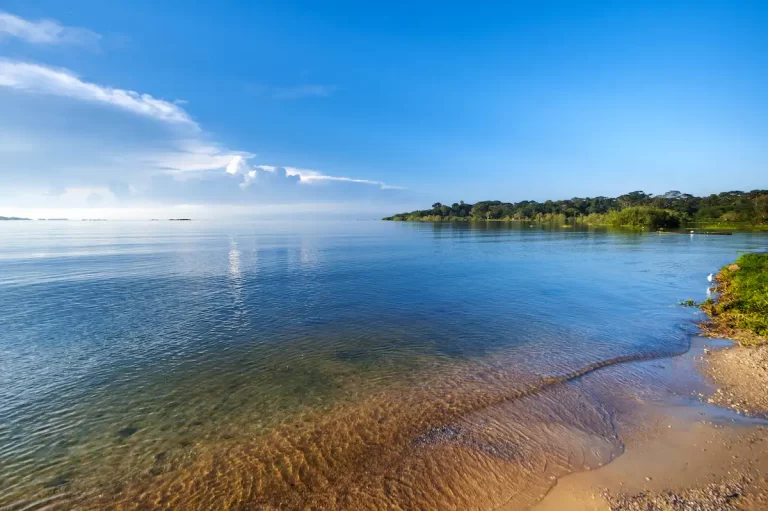 lago victoria con paisaje africano circundante