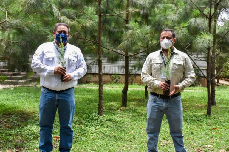 lanza y naturaleza en un entorno forestal