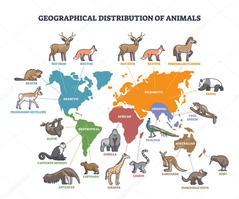 En qué región habita la especie que deseas conocer 6 mapa de distribucion de especies animales