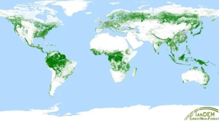 mapa del mundo con bosques tropicales resaltados