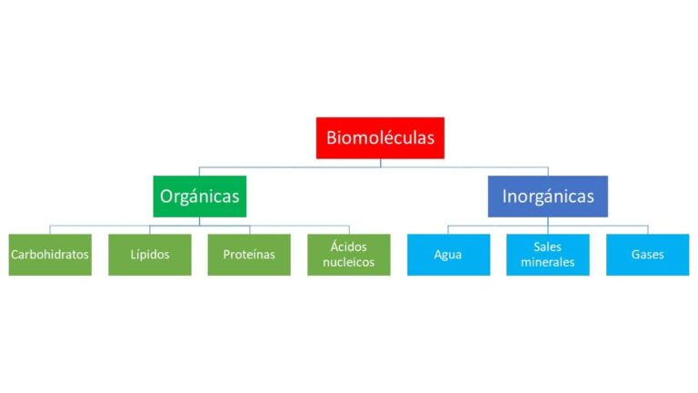 moleculas organicas e inorganicas en fondo