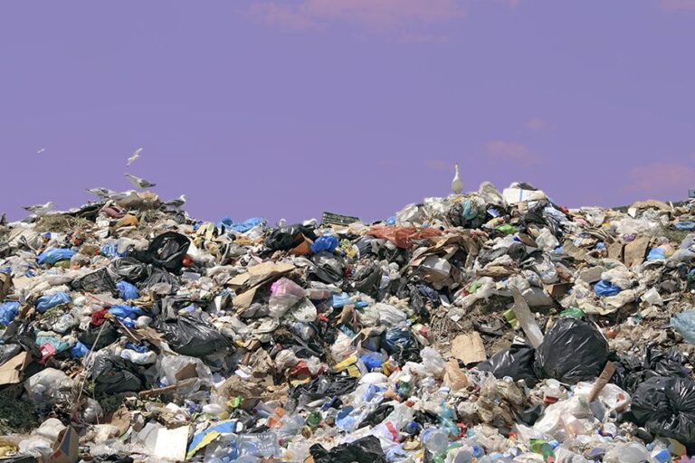monton de basura en un vertedero