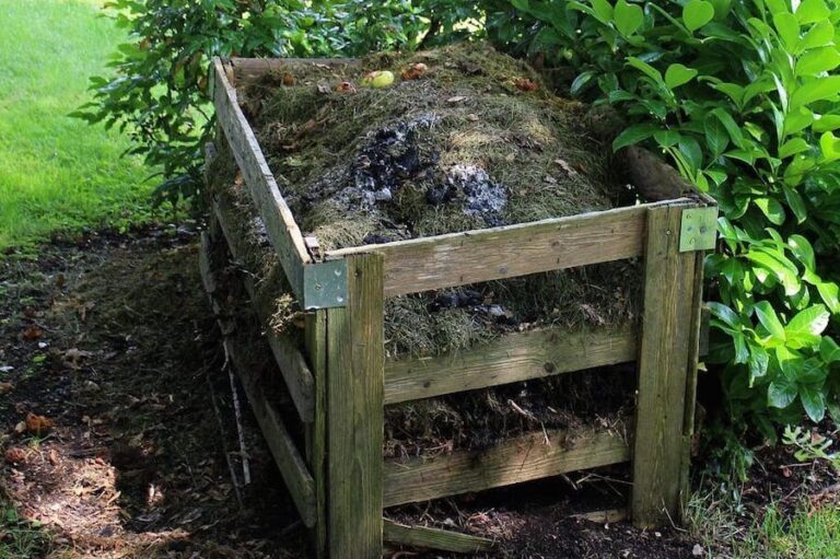 monton de composta con plantas saludables