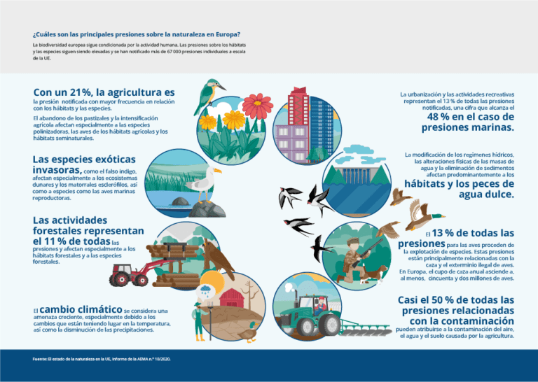 naturaleza afectada por la contaminacion