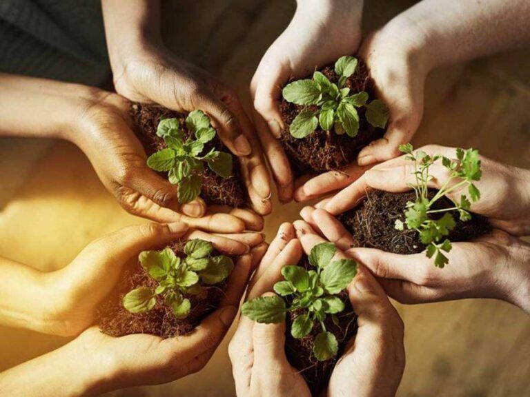 naturaleza cuidada y practicas sostenibles