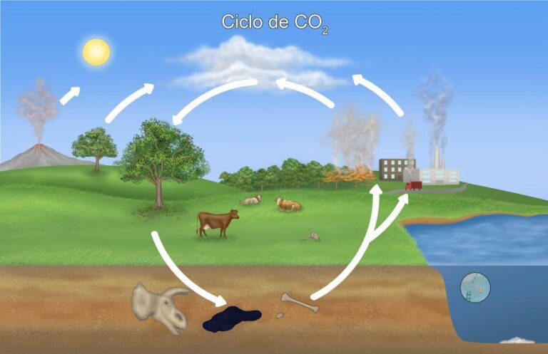 naturaleza interactuando con el clima cambiante