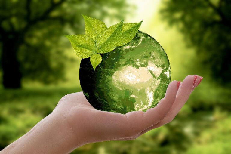 naturaleza limpia con reciclaje y sostenibilidad 1