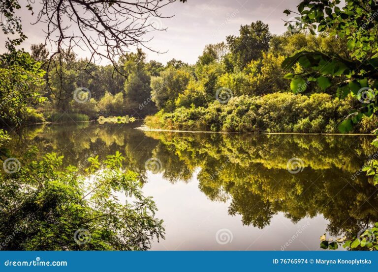 naturaleza pristina con arboles y rios