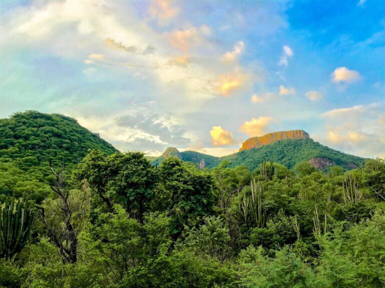 naturaleza protegida y conservacion ambiental