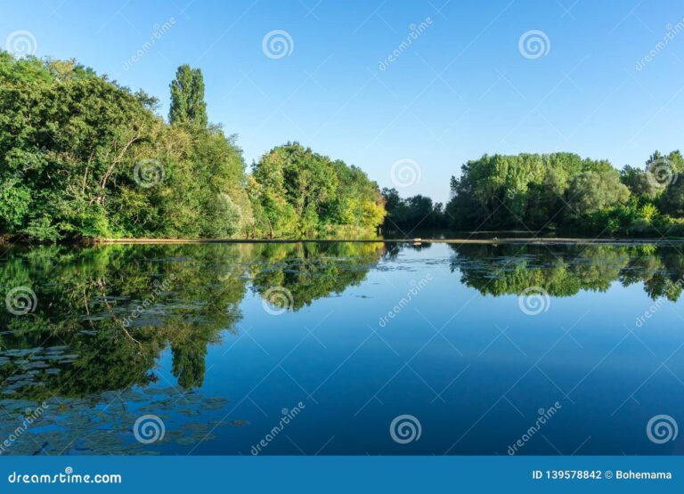 naturaleza vibrante con arboles y agua