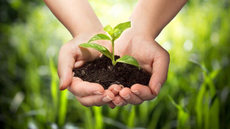 naturaleza vibrante con personas cuidandola