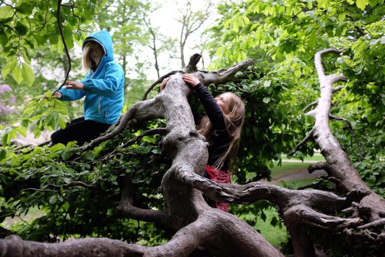 Qué es el Eco Centro Educativo La Tierra y qué ofrece a sus visitantes 24 naturaleza y educacion en armonia
