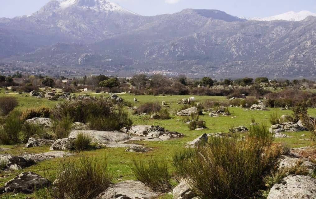 Qué hace de El Boalo un pueblo sostenible y respetuoso con el medio ambiente 3 Qué hace de El Boalo un pueblo sostenible y respetuoso con el medio ambiente