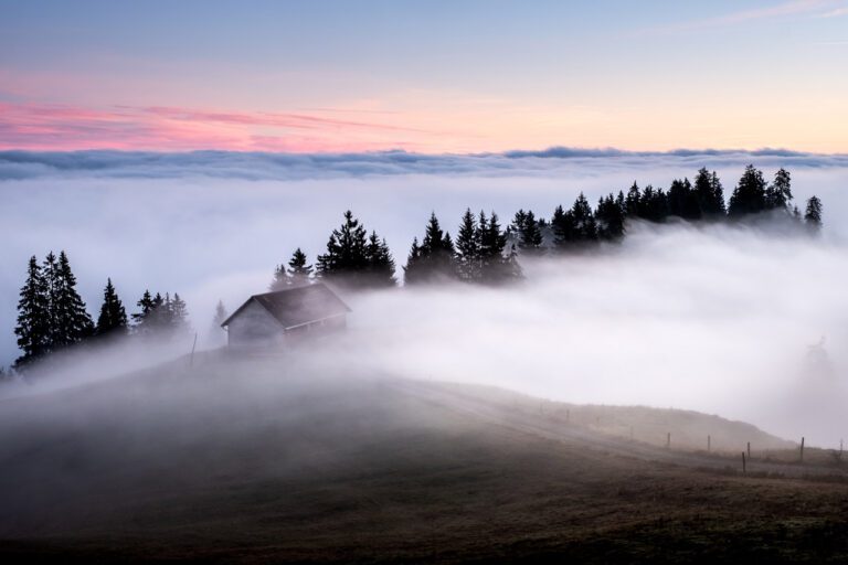 niebla cubriendo un paisaje natural