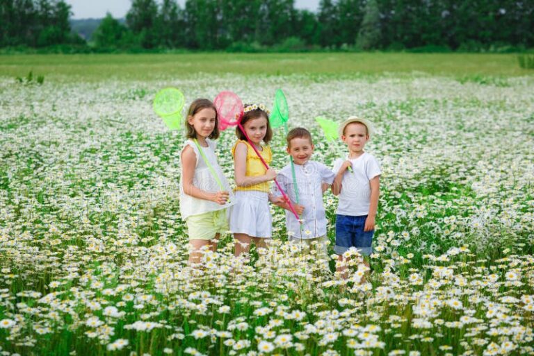 A qué se refiere la canción "Ala vin a la van" 11 ninos jugando en un campo florido