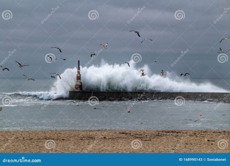 olas gigantes rompiendo en la costa