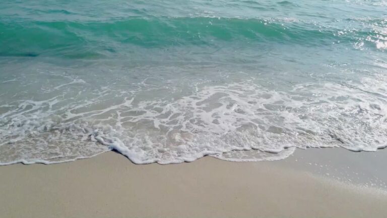 olas rompiendo en una playa arenosa