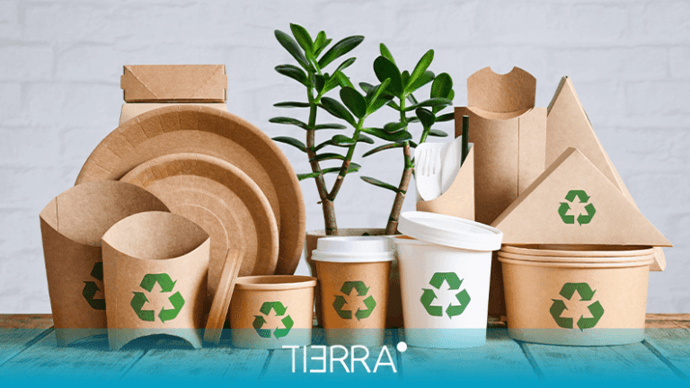 packaging sostenible de carton y papel