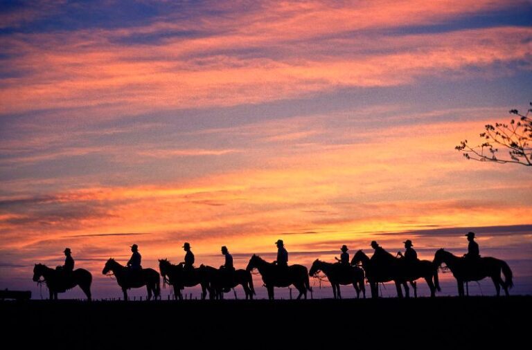 paisaje del llano mexicano al atardecer