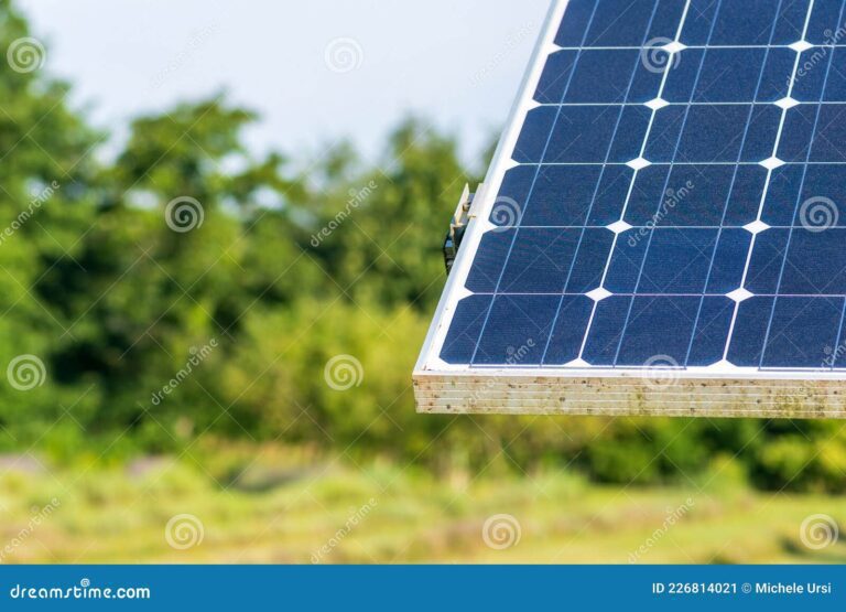 paneles solares en un campo verde