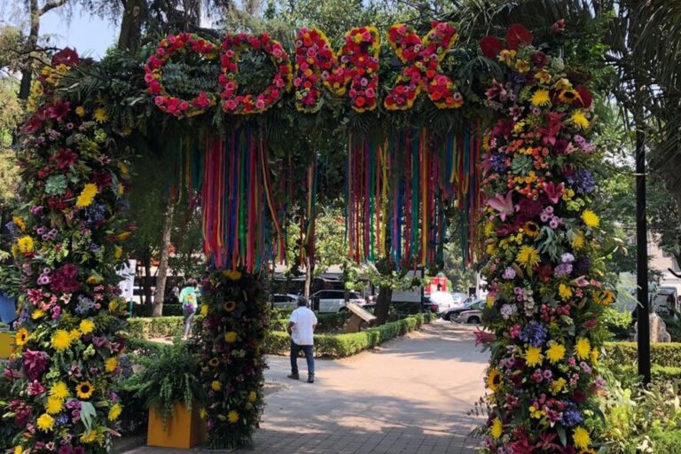 Qué lugares turísticos y actividades puedes disfrutar en Belén de las Flores, CDMX 28 parque lleno de flores en cdmx