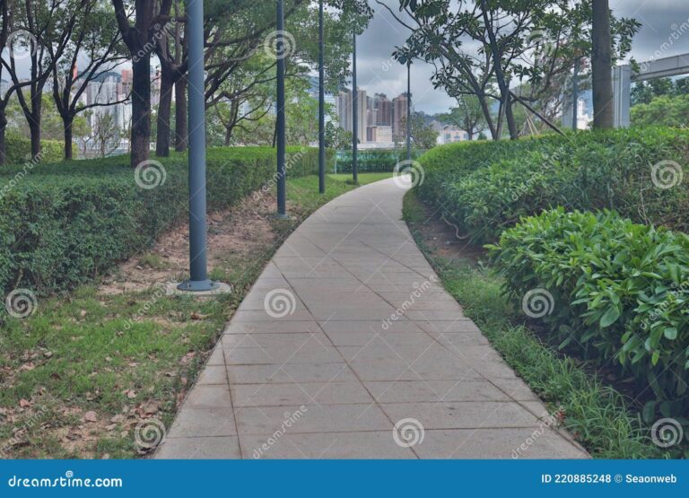 Qué Son los Elementos Esenciales de la VÃa Peatonal en las Ciudades 13 paseo peatonal en una ciudad moderna