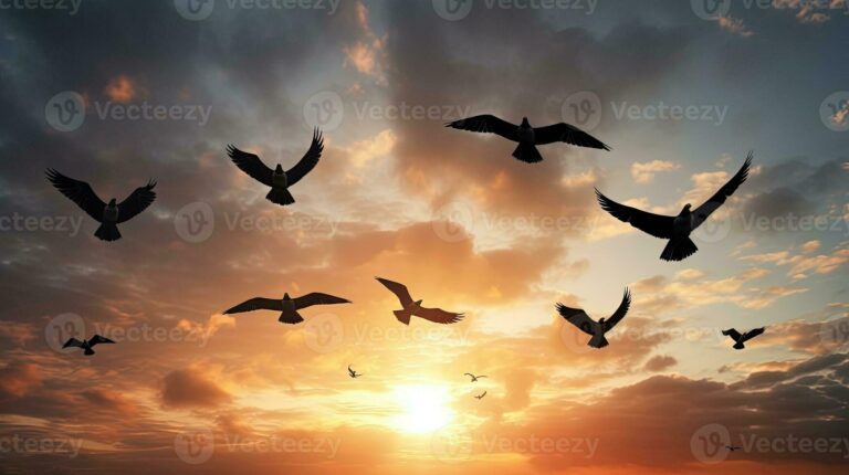 Existen personas que realmente pueden volar como los pájaros 6 persona volando entre aves en el cielo