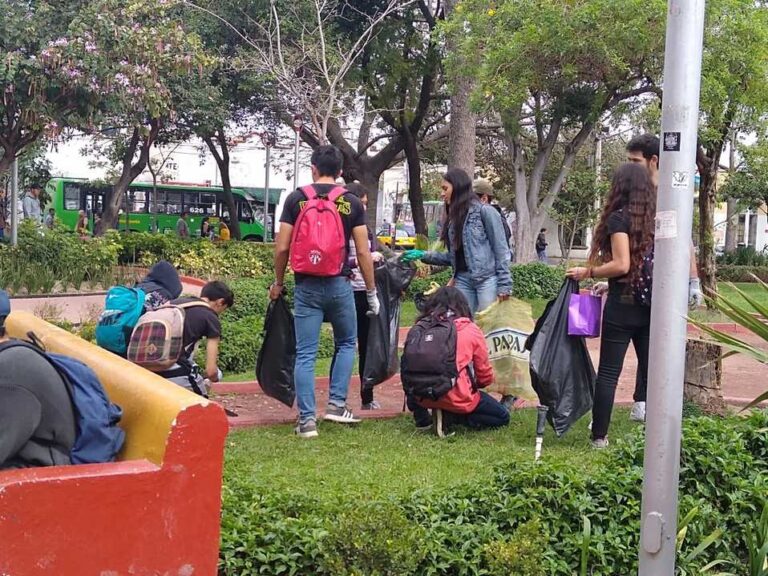 personas recogiendo basura en un parque