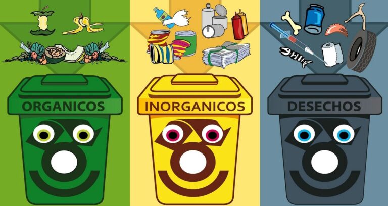 pilas de basura organica e inorganica separadas