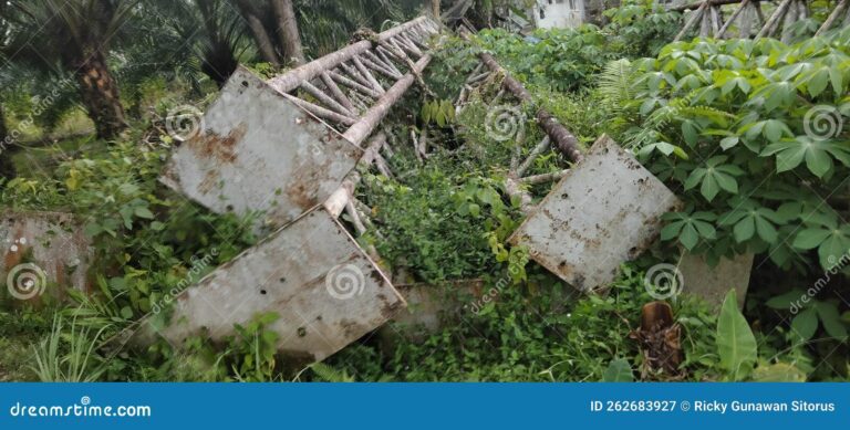 pilas en un entorno natural contaminado