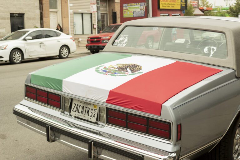 Cómo puedo checar el estado de mis placas federales en México 4 placas de auto en un entorno mexicano