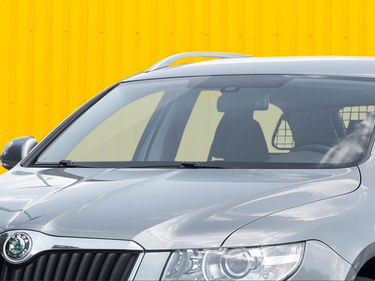 Cómo puedo buscar información sobre un carro utilizando sus placas 26 placas de automovil en un fondo neutral