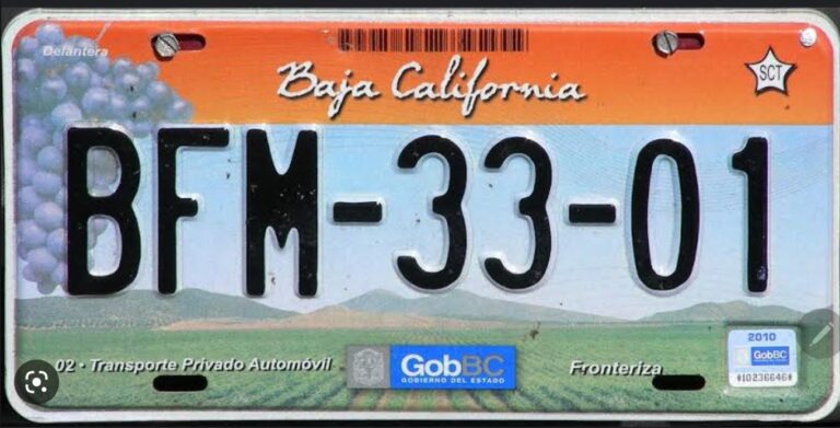 placas de carro en un fondo neutro