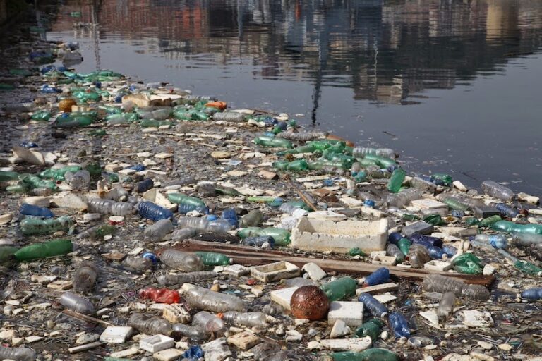 plasticos en la naturaleza degradacion visual